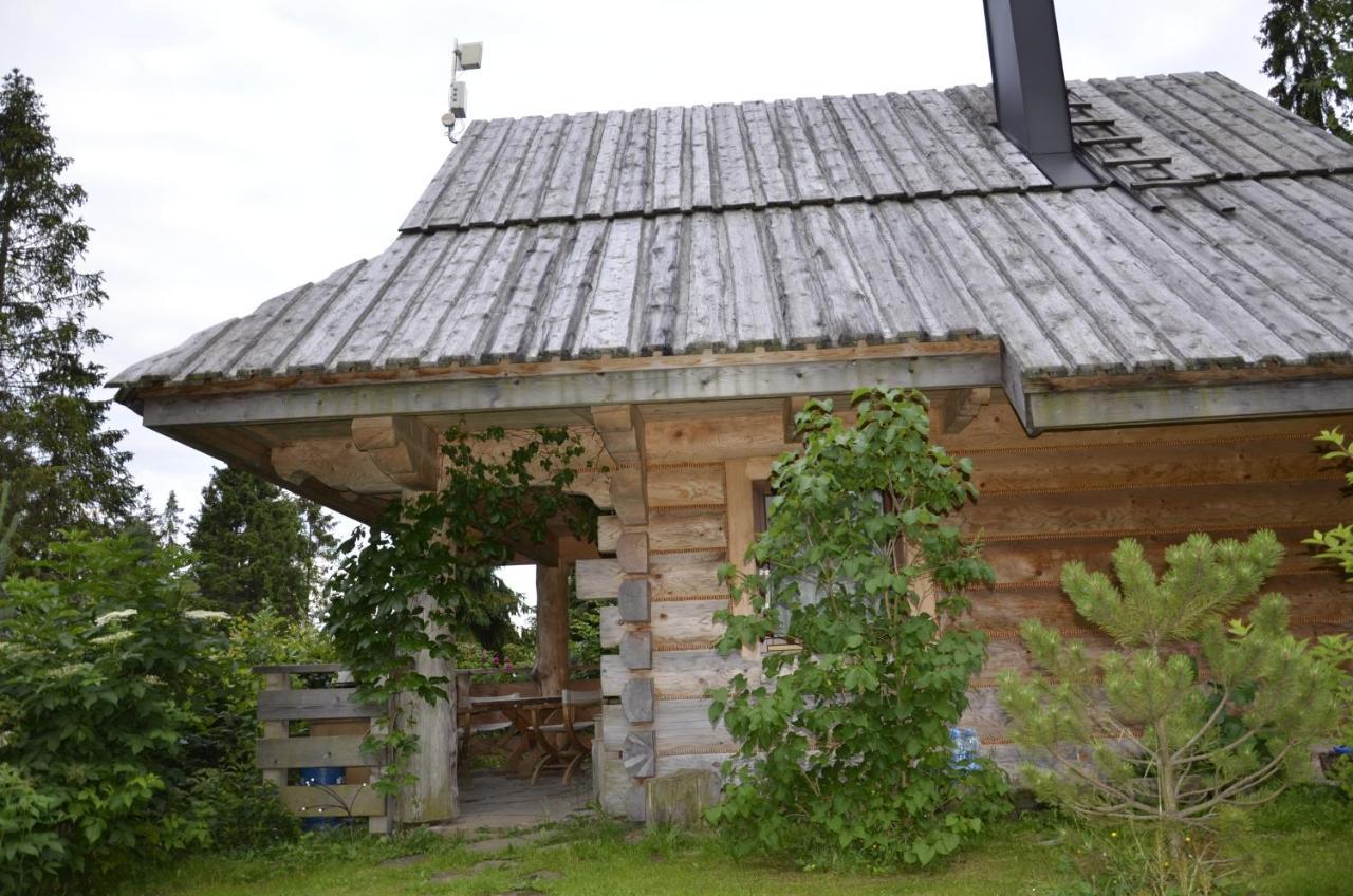 Mountain Chalet Smolenisko Domek W Gorach Нови Тарг Екстериор снимка